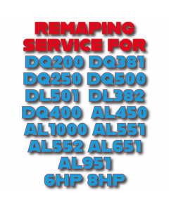 DSG Remaping Service